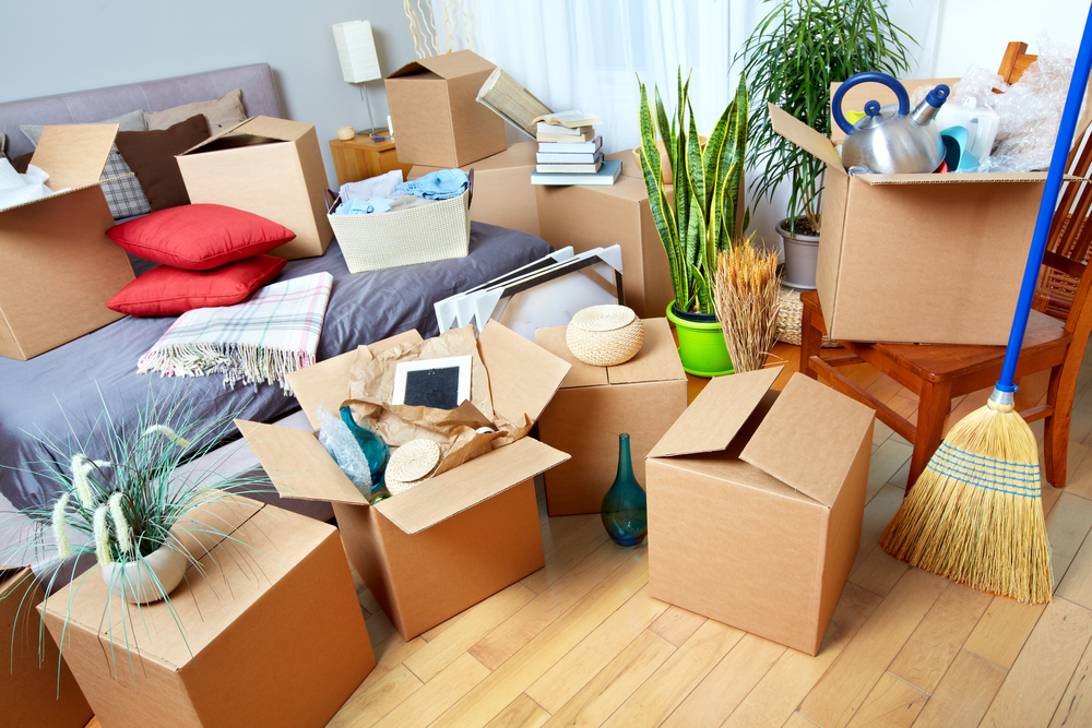 packers and movers noida